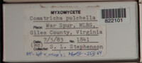 Image Associated With the Occurence